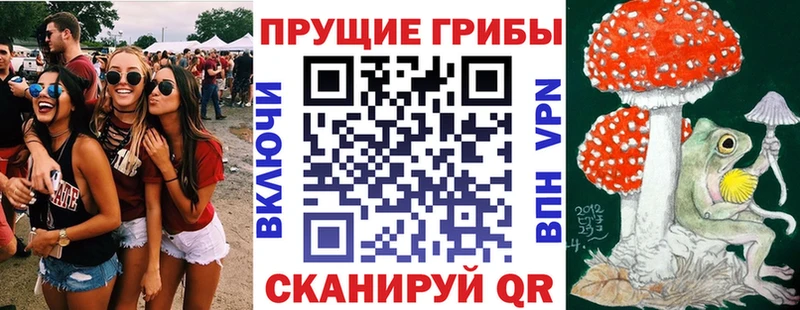 кракен сайт  Липецк  Псилоцибиновые грибы мицелий 